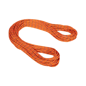 9.0 Alpine Sender Dry Rope